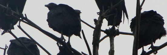 JMBMILLI's profile banner image