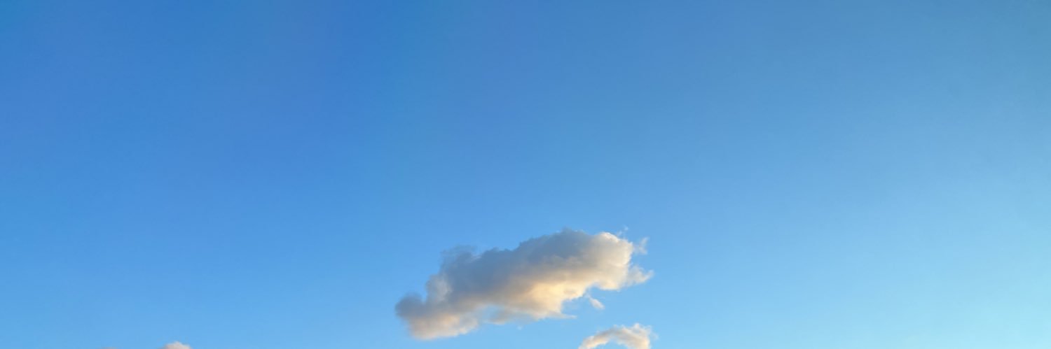AriBerrocal's profile banner image
