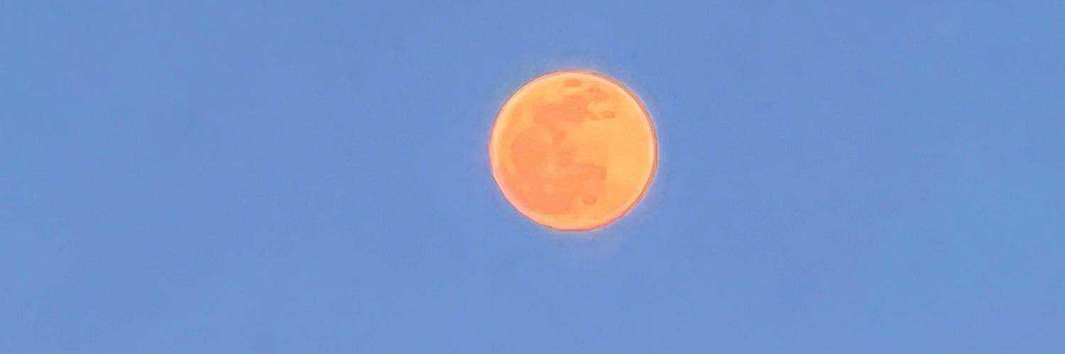 Gina Castello banner