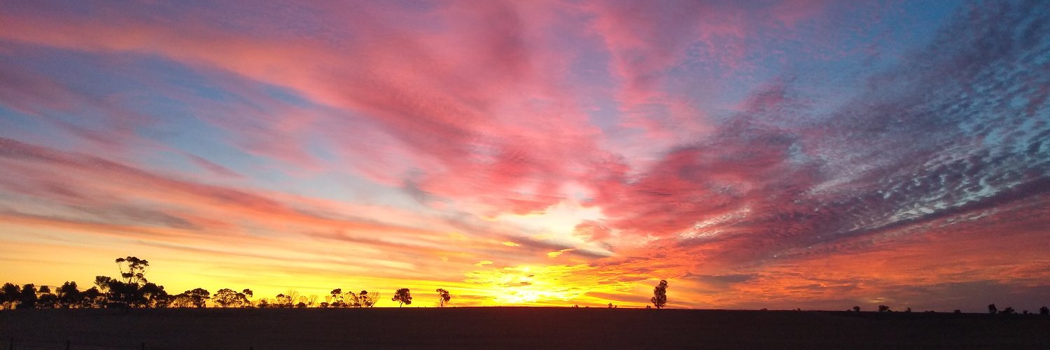 Andie Poole (Carter) banner