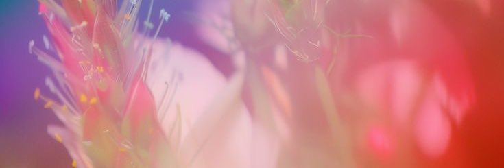 sundaydusk's profile banner image