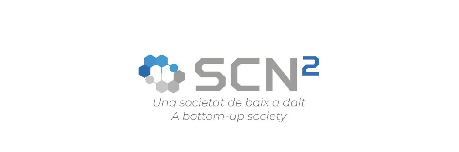 Societat Catalana Nanociència i Nanotecnologia banner