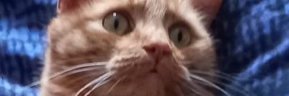 Jack_Hand01's profile banner image