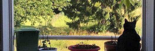 annsplaining's profile banner image
