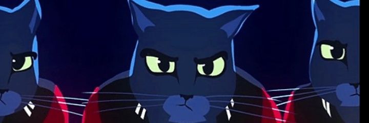 sacha0011's profile banner image