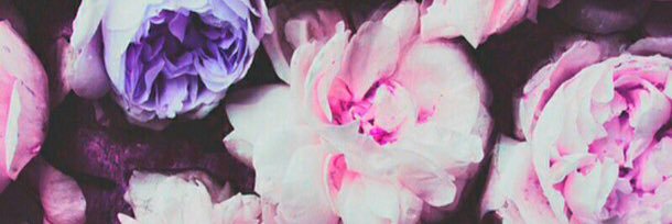 ellen_bethany's profile banner image