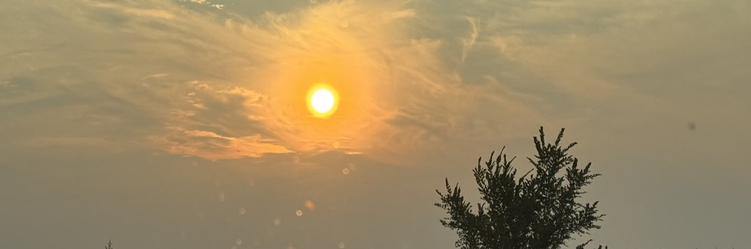 babesrogales's profile banner image