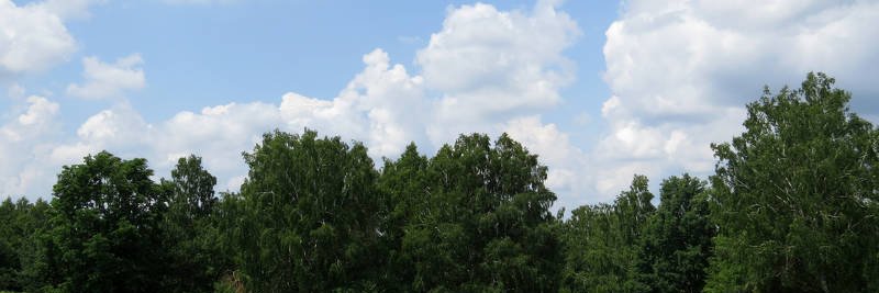 Babierge banner