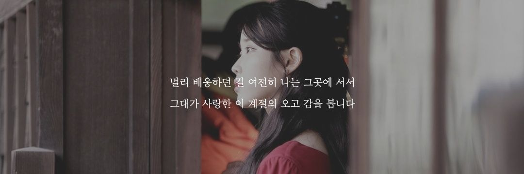 Starlight_0516's profile banner image