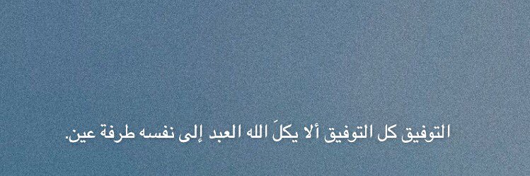 alya_lll's profile banner image