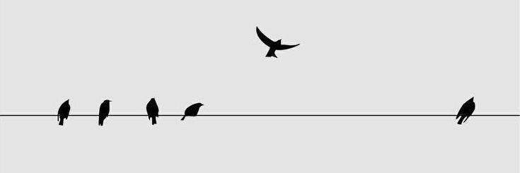 Sara Fernandes 🇧🇷 banner