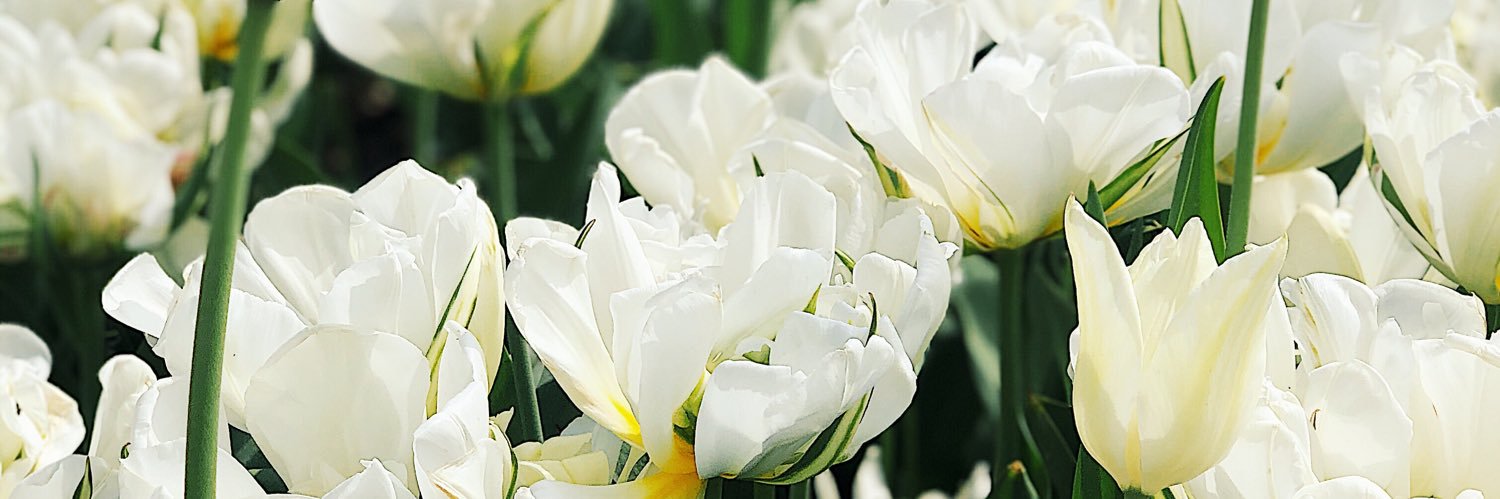 rebeccabarrette's profile banner image