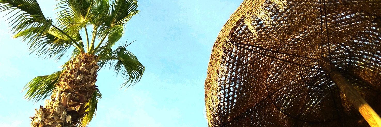 RaquelFuOr's profile banner image