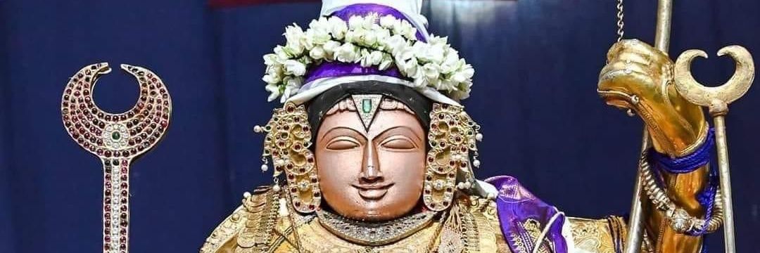 pgopala11's profile banner image