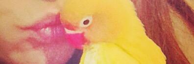MarinJeni's profile banner image