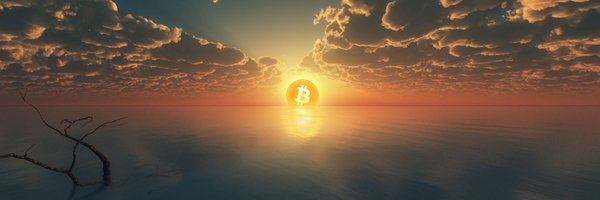 pseudonymous369 Profile Banner