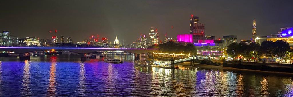 Rex Cub Lyons 🌈 & Corrina (mum) banner