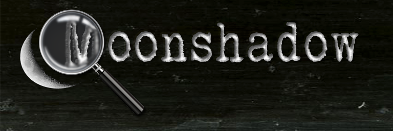 AngelMoonshadow's profile banner image