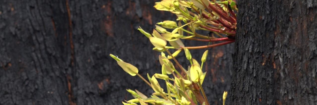 Tom Salmon 🇺🇦 🇵🇸 banner