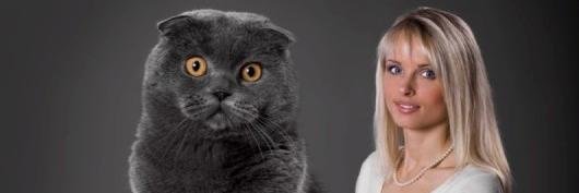 wattsonian's profile banner image