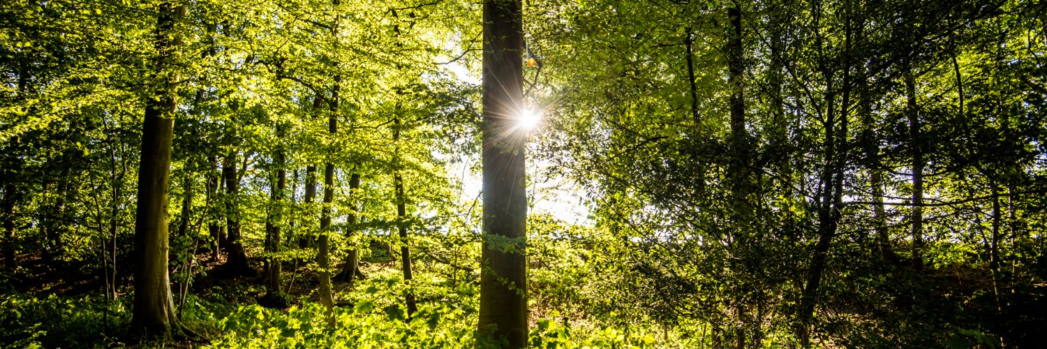 Forestry Commission's banner