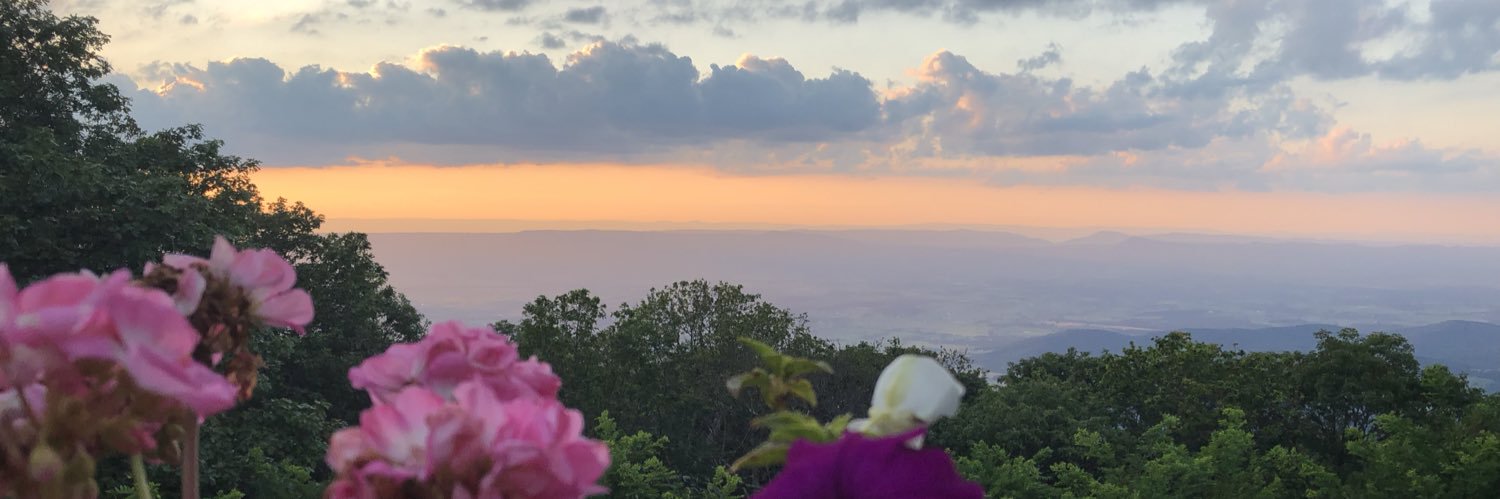 Margaret Campbell banner