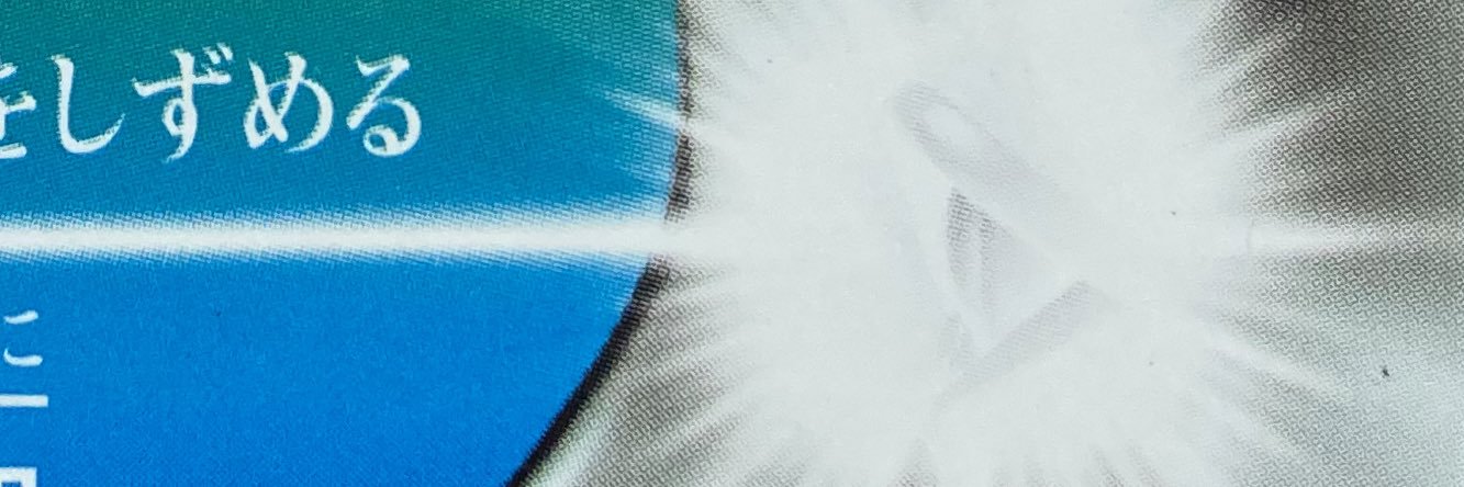 youhe0127's profile banner image