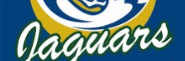 AHAHSprincipal Profile Banner