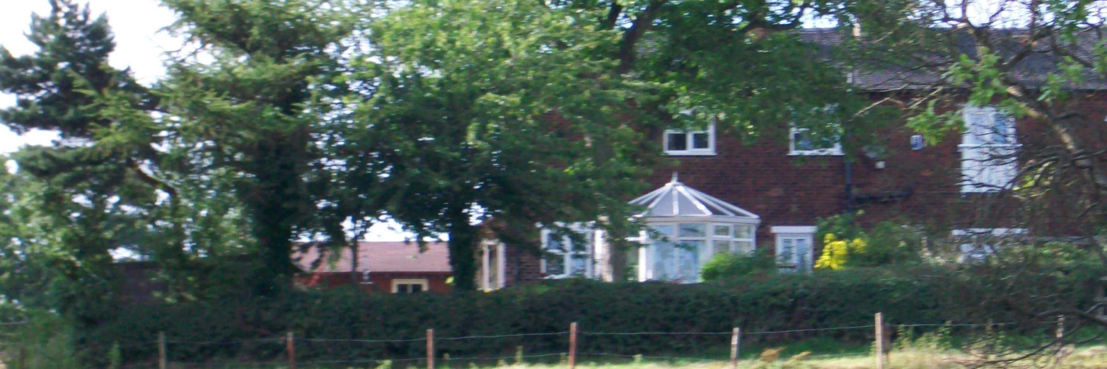 Janet Forster banner