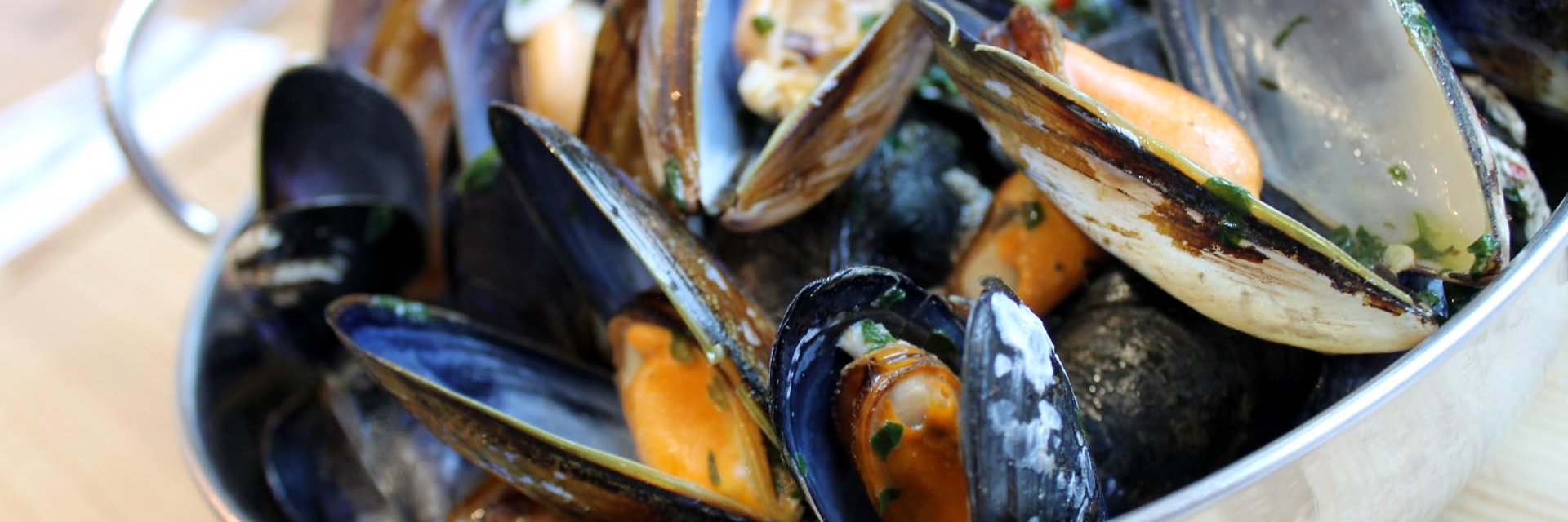 TheFishFactory banner