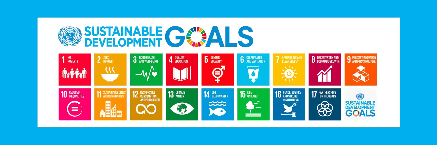 UNDP Malawi's banner