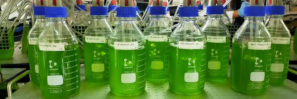 FleurianeMLF Profile Banner