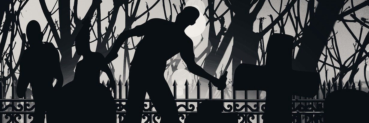 Er Zombie ⚰️ banner