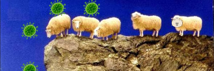 Just A Neighsayer's banner