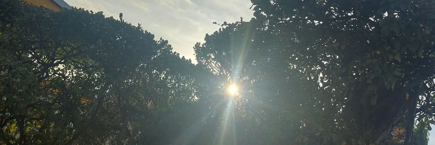 iamteteroo's profile banner image