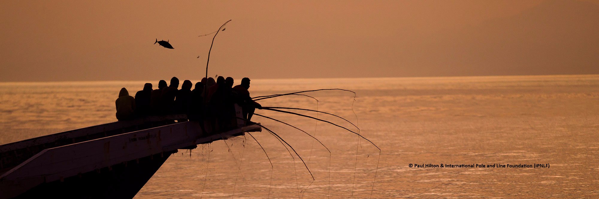 Blue Communities banner