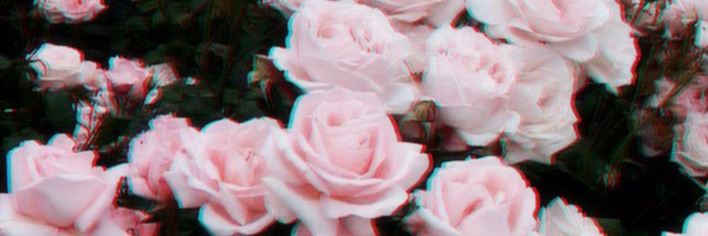 AlinnALinaa's profile banner image