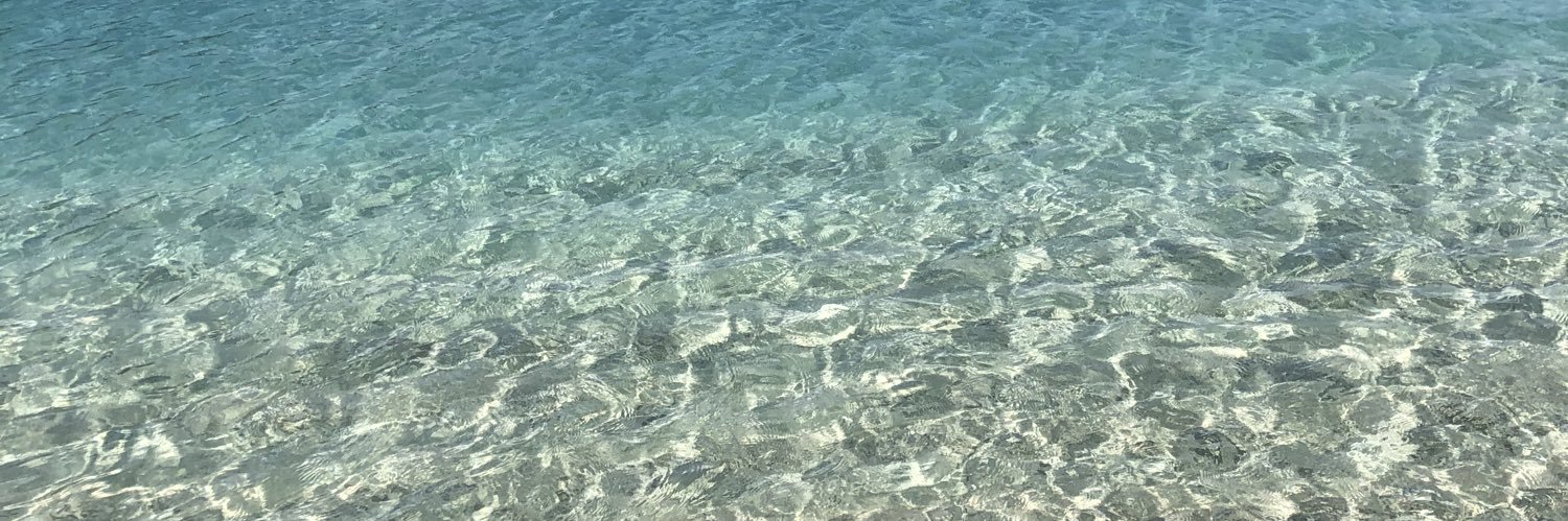 _TropicalDream's profile banner image