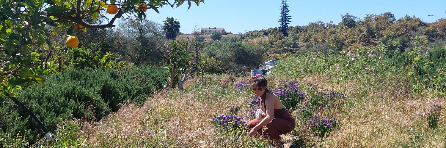 Hannah Martin banner