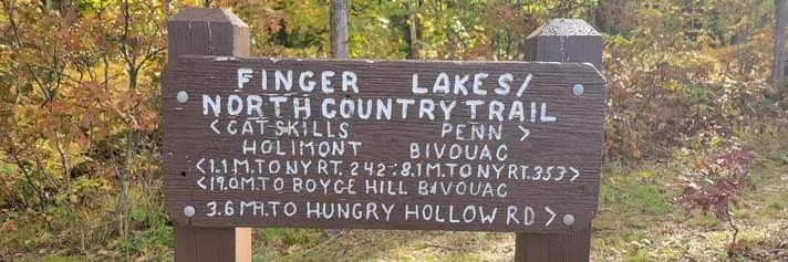 Deadhead for Democracy 🇺🇸🇮🇹🇺🇦 banner