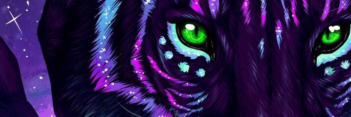 sole_medi's profile banner image