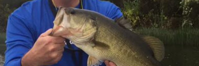 topbaits's profile banner image