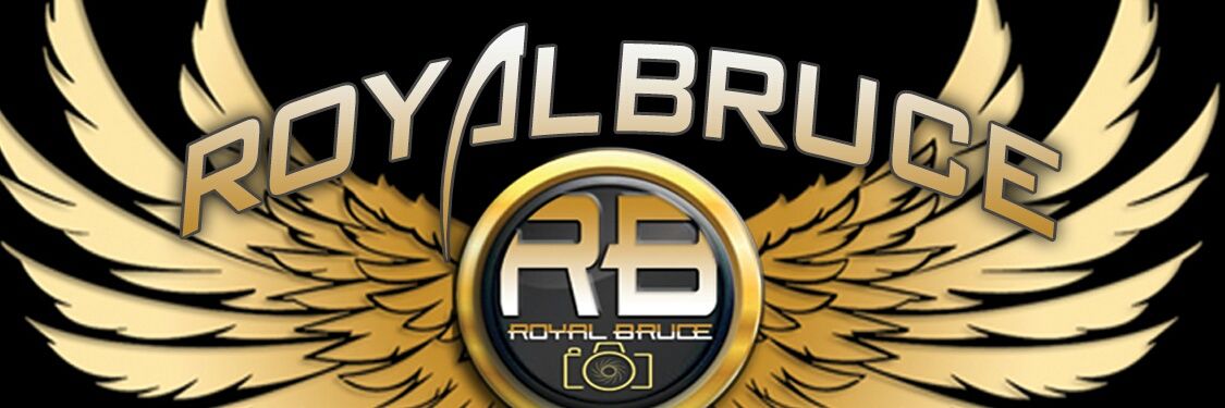 RoyalBruceart's profile banner image