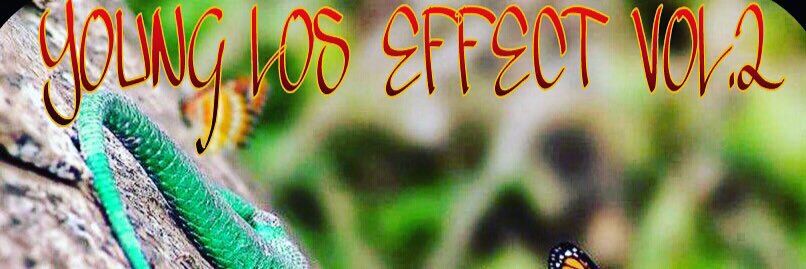 LoPriceless's profile banner image