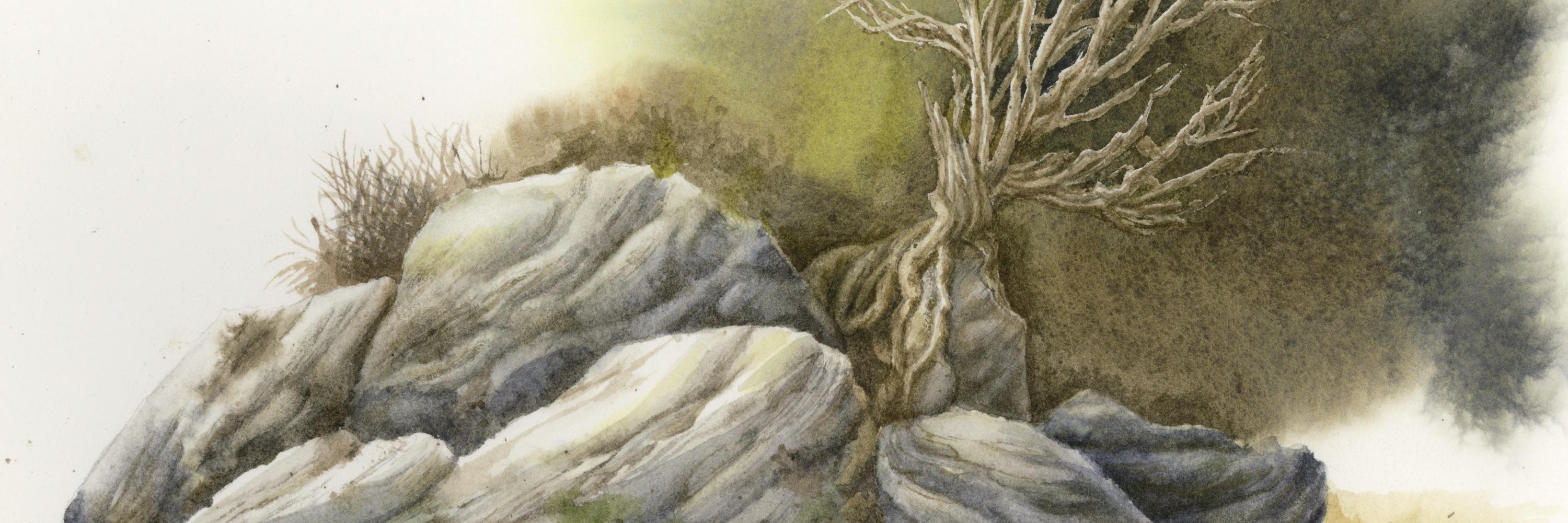 smitchelldesign's profile banner image
