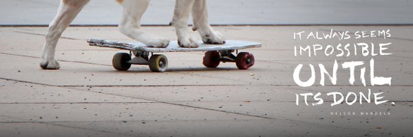 stschultze Profile Banner