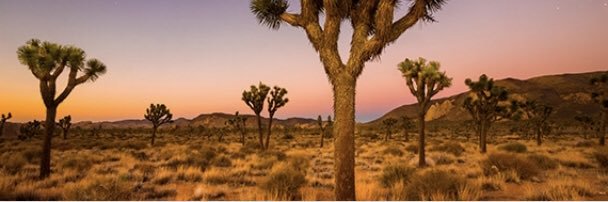 Victorville 665 HD banner