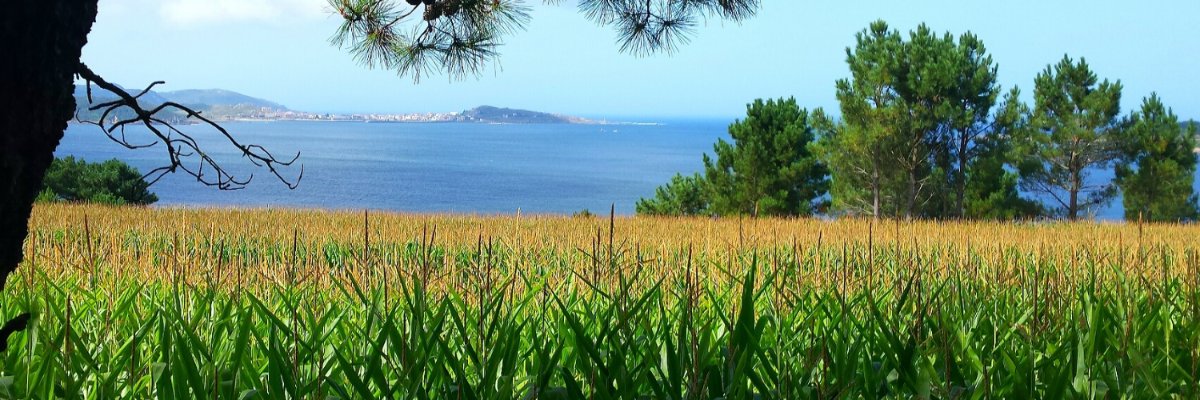 MPil18's profile banner image