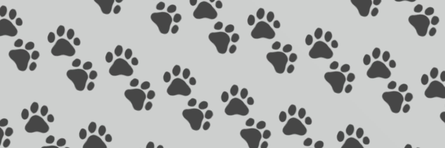 xLikeDogAndCat's profile banner image