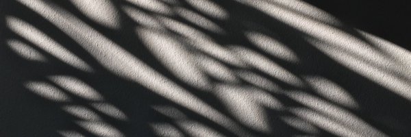 MoritzNowack Profile Banner
